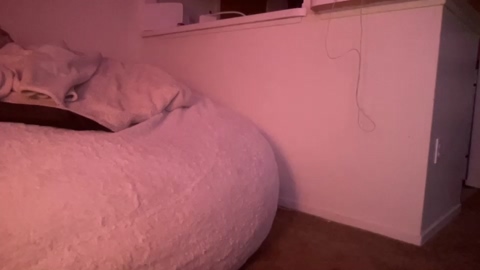 kajirakitten  17-07-2022